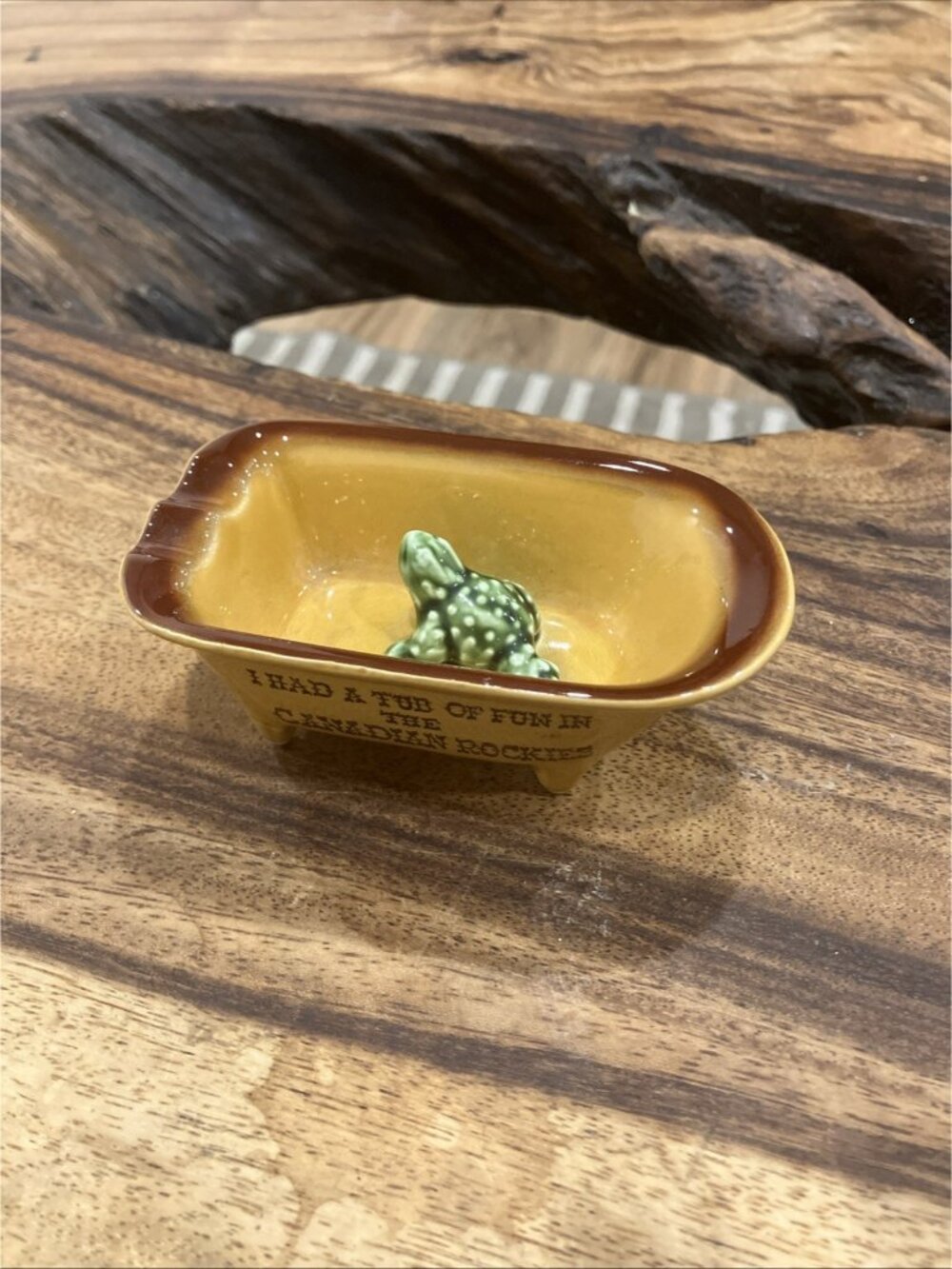 Vintage Ceramic Canadian Rockies Bathtub Ashtray W/Frog